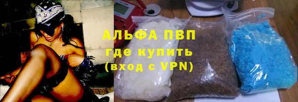 хмурый Аркадак
