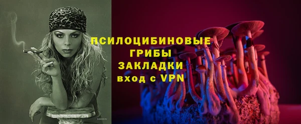 хмурый Аркадак