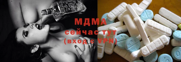 хмурый Аркадак