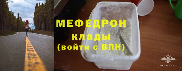 хмурый Аркадак