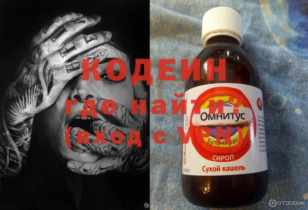 хмурый Аркадак