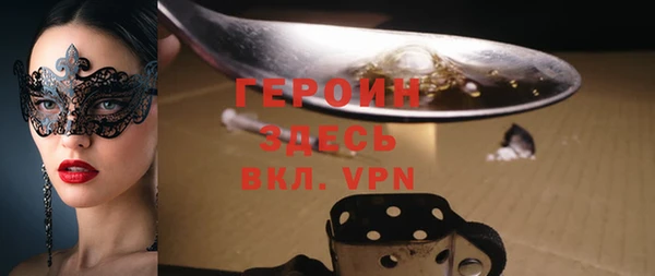 хмурый Аркадак