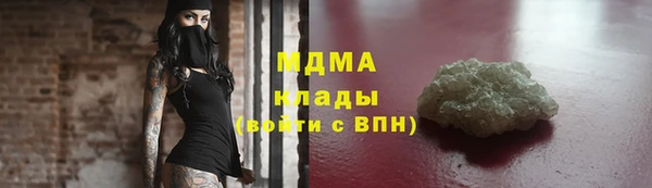 хмурый Аркадак