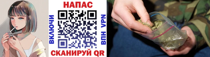 как найти наркотики Голицыно Каннабис VHQ